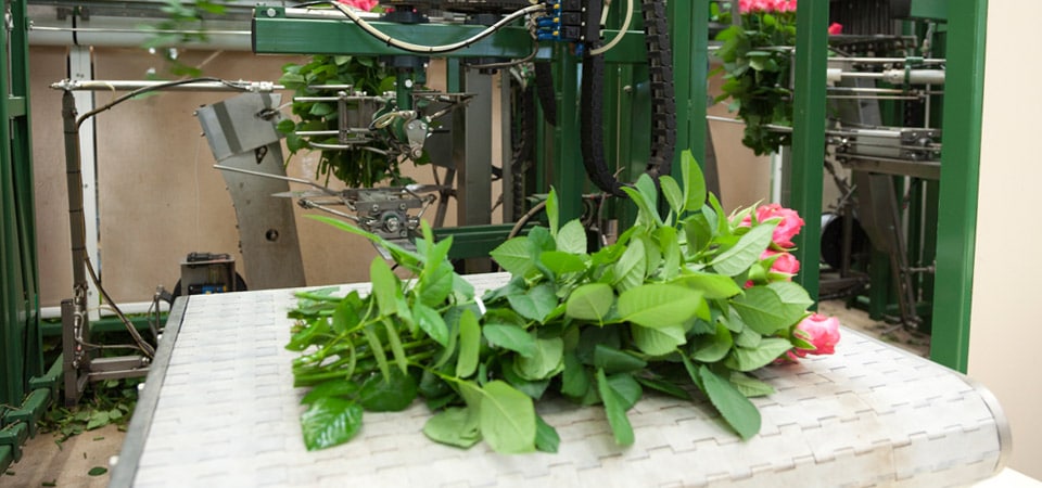 Produktion_02